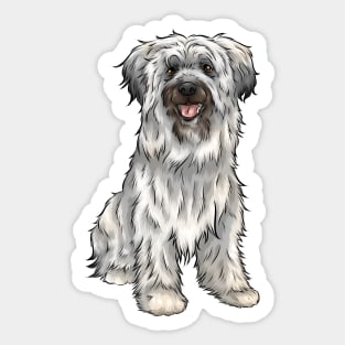 Cute Pyrenean Shepherd Dog | Sheepdog Sticker